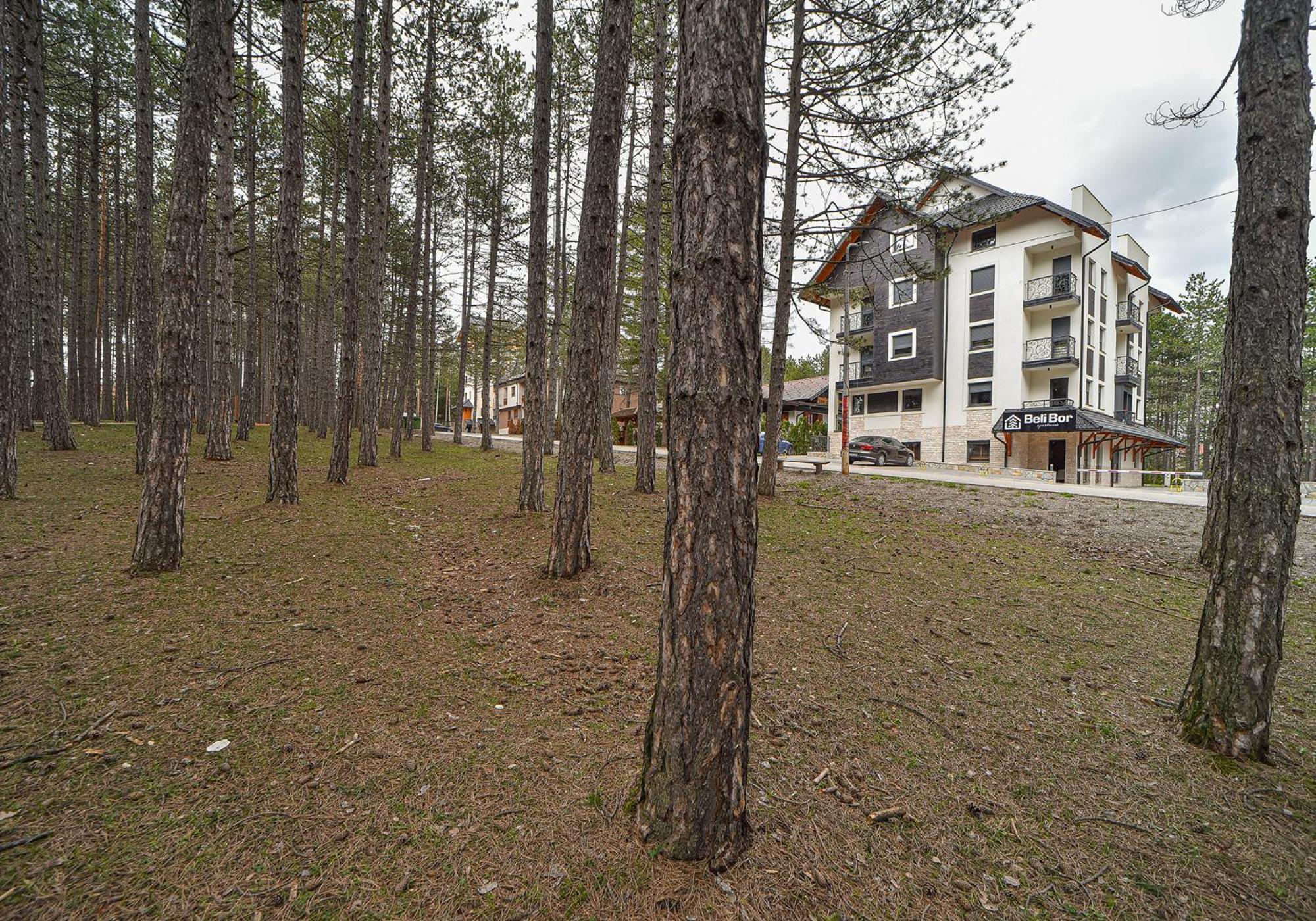 Beli Bor Zlatibor Aparthotel Εξωτερικό φωτογραφία